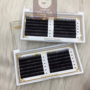 Thuy Ha Eyelashes Extension Rabbit Fur Eyelashes Super soft 0.03 thickness Mix Size OEM ODM Service  4