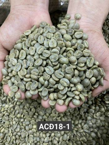 Arabica Raw Coffee Beans High Quality Raw Drinkable ISO220002018 60 kg/jute bag Made in Vietnam Manufacturer 4
