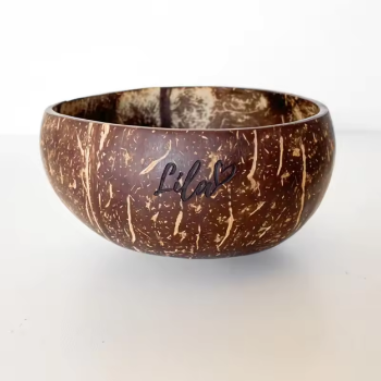 Handmade Eco-Friendly Best Price Natural Coconut Shell Bowl Dessert Cup Lacquered Inside Bowl 5