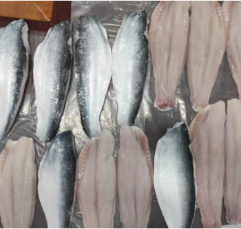 Good Price Frozen Pangasius Skin On Whole Factory From Vietnam Wholesale Fresh Frozen Catfish For Export In Bulk High Quality 1