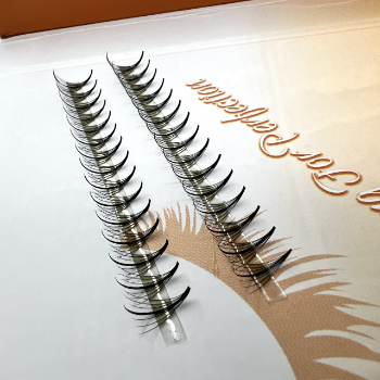 Low MOQ Wispy 9D mix 7 length fan eyelashes Reasonable Price Beautiful color using for beauty pack in tray or box from Vietnam 5