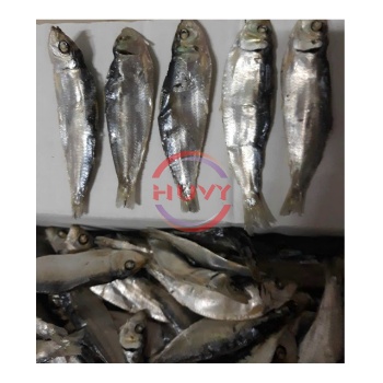 Fast Delivery Dry Herring Sea Food Wholesale Indian Mackerel Herring Fish Nature Factory Price OEM Service Made In Vietnam 5