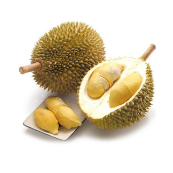 Best Price Fresh Durian Monthong Eat Directly Sweet And Fatty Taste Organic Packed In Box From Vietnam Manufacturer 1