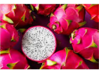 Fresh White Dragon Fruit Good Price Organic Using For Food Bulksales Carton Box Plastic Wrap From Vietnam Manufacturer 5