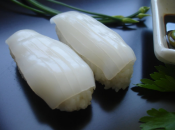 Squid Sushidane make from Body Of Squid To Eat High Specification Cleaned Natural Defrost HACCP Vacuum Pack Vietnam Factory