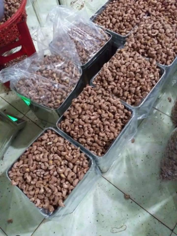 Roasted Crunchy Cashew Nut Good Quality High Grade Production Use For Food Organic Cashew Nuts Customized Packing 6