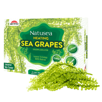 Heating Sea Grapes 99% Fresh Reasonable Price 25Gr/Pack Mitasu Jsc Paper Box Vietnam Manufacturer 2