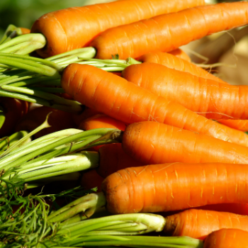 Fresh Carrot Fruit & Vegetable Products Good price Organic Follow the Customer's Request Made in Vietnam Manufacturer 7