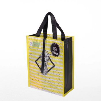 The New Pp Non-Woven Bags Eco Friendly Durable Go Outside Packed In Box Vietnam Manufacturer 2