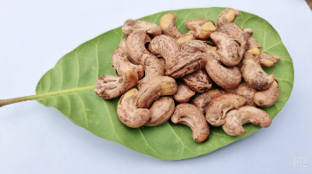 Roasted Cashew Nuts Hot Selling Organic Nuts Using For Food Cashew Kernels Packaging Carton & Vacuum PE Vietnamese Manufacturer 1