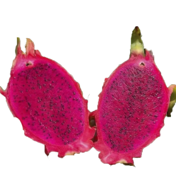 Dragon Fruit Competitive Price Delicious Food Export Bulksales Carton Box Plastic Wrap Vietnam Manufacturer 5