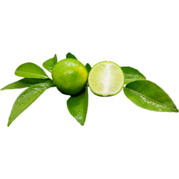 Frozen Lime Leaves Fruit and Vegetables High Quality Top Selected Customized Packaging Made in Vietnam Manufacturer 6