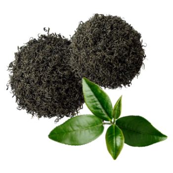 Jasmine Tea Loose Leaf Green Tea OEM Organic Using For Drinking TCVN packing in bag made in Vietnam Manufacturer 2