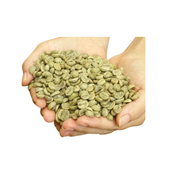 Green Bean Coffee S18 Raw Bitterness Arabica Green Coffee Beans Premium Vietnamese 96% Maturity Caffeine Made In Vietnam 1