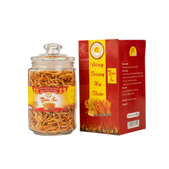 Freeze Dried Cordyceps Militaris Wholesale Nutritious Using For Food ISO Packing In Jar Vietnam Manufacturer 2