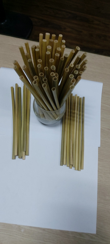 Factory cheaper price natural Dried eagle grass straws 20cm type 2 natural grass straw selling 7