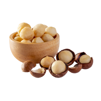 Macadamia Nuts Premium Grade High Quality Macadamia Nuts With Shell Raw Organic Bulk Nuts Wholesales From Vietnam Manufacturer 8