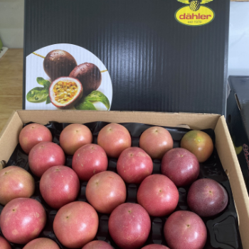 Passion Fruit Organic Ready To Ship Haccp High Quality Wholesales Fresh Carton Box Vietnam Manufacturer 5