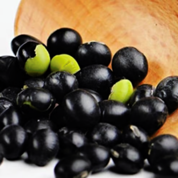 Black Beans Bean  Good Price  Very Good For Health For Cooking Vinagreen Customized Packing From Vietnam Bulk 4