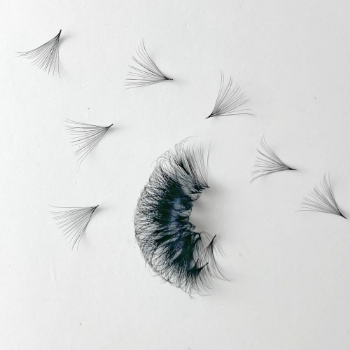 False Eyelash Extensions Loose Promade Fans 2D-20D-1000 Fans High Quality Customize Logo Sharp Lashes EELYLASHES Supplier 2