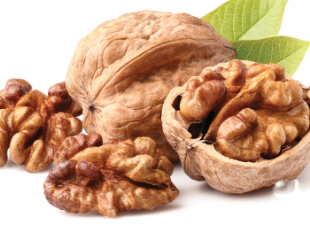 Walnut In Shell Organic Bulk Nuts Wholesale Premium Walnuts Raw Dry Fruits Walnuts Kernels For Sale From Vietnam Manufacturer 7