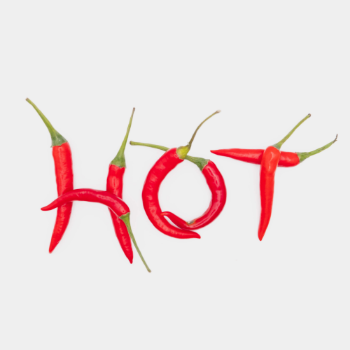 Good Choice Fresh Chili Non Toxic High Quality Fresh 2023 Spicy Taste Raw Material Form Vietnam Manufacturer 5