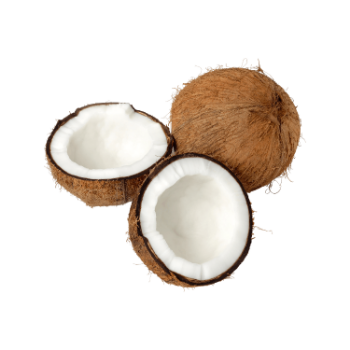 Wholesaler Dry Coconut Used As A Seasoning For Dishes 100% Dried Coconut Organic Packed In Box Made In Vietnam Manufacturer 1