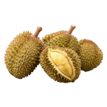 Durian Fresh Hot SellingTropical Fruit Using For many purposes TCVN packing in carton Asian Manufacturer 3