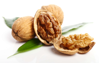 Rich Proteins Nuts Wholesale Premium Walnuts Raw Walnut In Shell Dry Fruits Walnuts Kernels For Sale From Vietnam Manufacturer 2