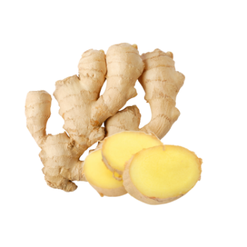 Fresh Ginger Fresh All Size Raw  Tasty Using For Food Vinagreen Carton Box Plastic Wrap Made In Vietnam Factory 1