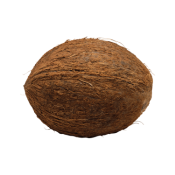 The Best Dry Coconut Used As A Seasoning For Dishes 100% Dried Coconut Organic Packed In Box From Vietnam Manufacturer 1