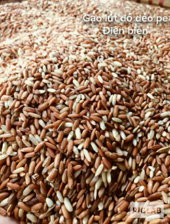 Brown Rice Good Price DA Food Customized Packaging Made In Vietnam 4