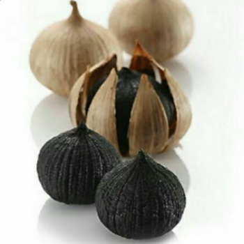 Black Garlic Fresh Good Choice   Tasty Food Vinagreen Customized Packing From Vietnam Bulk Low Calorie Good for Health 5