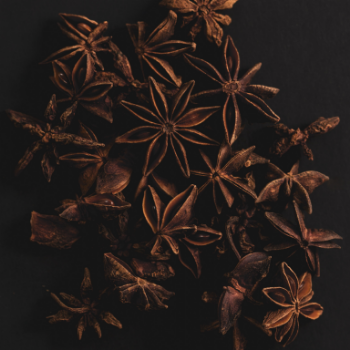 Whole Sale Star Anise Superior Hot Sale Natural Clean Anise High Quality Dried Spice Dried Star Anise From Vietnam Manufacturer 5