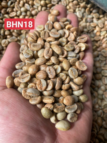 Black Honey Robusta Coffee Green Bean High Quality 100% Organic Drinkable ISO220002018 60 kg bag Vietnam Manufacturer 6