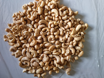 Cashew Nuts From Viet Nam Wholesale Organic Nuts Natural Flavor Fresh Cashew Packaging Carton & Vacuum PE Vietnam Manufacturer 3