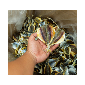 Viet Nam Dry Fish Dried Yellow Tail Scad Fish Export Ly Huynh Cheap Price Tasty Vacuum Pack From Vietnam Manufacturer 2