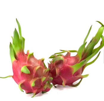 Dragon Fruit Competitive Price Delicious Food Export Bulksales Carton Box Plastic Wrap Vietnam Manufacturer 1