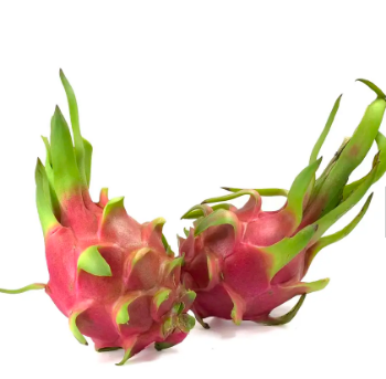 Dragon Fruit Competitive Price Delicious Food Export Bulksales Carton Box Plastic Wrap Vietnam Manufacturer
