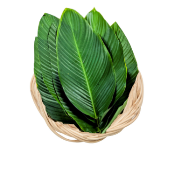 Dong Leaf For Wrapping And Decorating Food For Food Stuff Replace To Plastic Bag  Eco Friendly Biodegradable Supplier New Crop 1