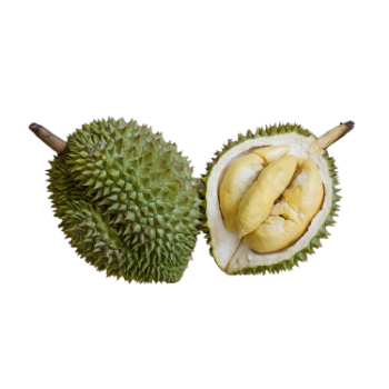 Hot Pick Fresh Durian Monthong Eat Directly Sweet And Fatty Taste Organic Packed In Box From Vietnam Manufacturer