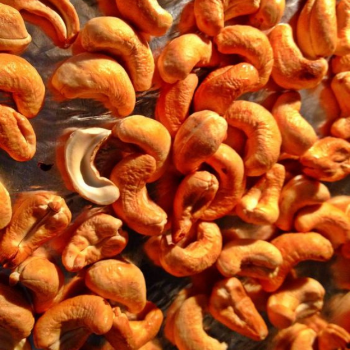 Cashew Nuts Food Ingredients Roasted With Salt Tasty Reasonable Price Bag Packing From Vietnam Manufacturer 4