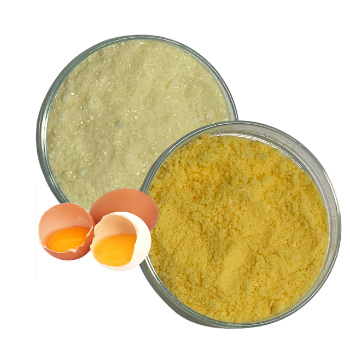 Egg White-Yolk Combination Powder Mixture Of Dried Egg Whites And Egg Yolks Supplement Rich Vitamins & Minerals Made In Vietnam 2