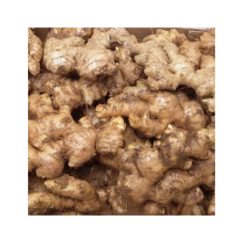 Best Price Fresh Ginger 100% Natural Organic Good For Health Packed In Box Made In Vietnam Manufacturer 3