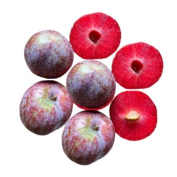 Dark Fresh Plum Variety Agricultural Products using for many purposes TCVN packing in carton Made in Vietnam Manufacturer 3