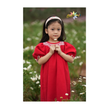 Smock Velvet Smock With Long Sleeves Good Quality High Grade Product Picnic Dress Lovely Pattern Packing In Carton Box 1