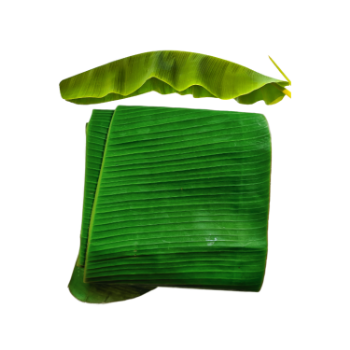 Fresh Banana Leaf For Food Stuff Replace To Plastic Bag Eco Friendly Wrapping Food Biodegradable Supplier New Crop Bulk Vietnam 6