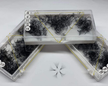 Fan Eyelash Premade Classic Fan Eyelashes Good Service Synthetic Hair Eye Makeup Packaging Tray Vietnam Manufacturer