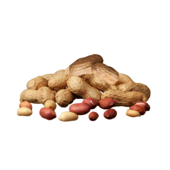 Peanuts Low Calorie Delicious Food Vinagreen Tropical & Sub-Tropical Fruit Packing In Carton/ Mesh Made In Vietnam Bulk 1