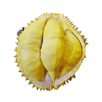 Best Price Fresh Durian Monthong Eat Directly Sweet And Fatty Taste Organic Packed In Box From Vietnam Manufacturer 5